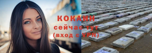 прущие грибы Грязовец
